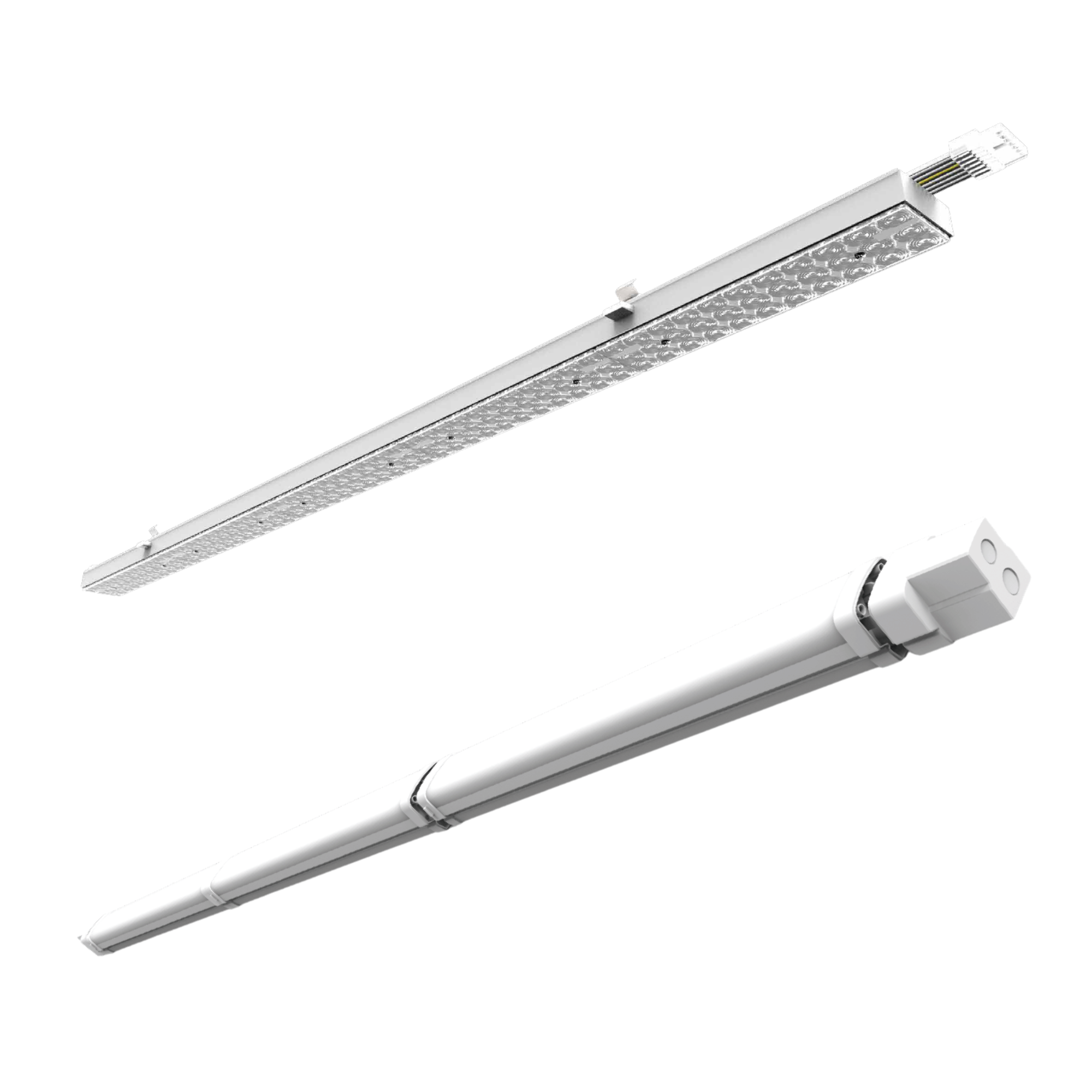 Linear Light Titelbild